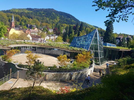 Kur- und Schlosspark Badenweiler